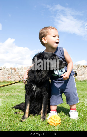 Bébé Garçon jouant avec son animal cross border collie dog outdoors Banque D'Images