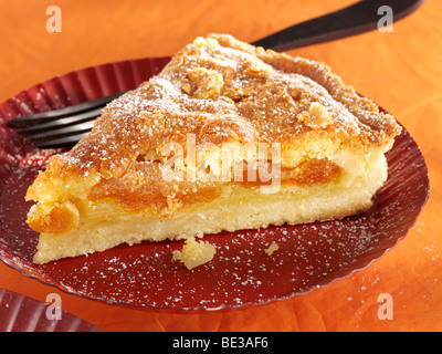 Gâteau d'abricots saupoudré de sucre sur une assiette avec une fourchette Banque D'Images