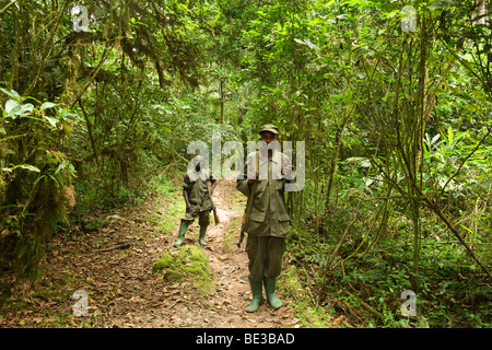 Ugandan Wildlife rangers dans les forêts de Bwindi Impenetrable National Park dans le sud de l'Ouganda. Banque D'Images