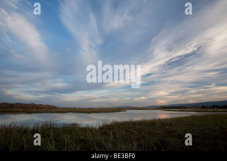 Ciel au-dessus de la Palo Alto, California USA Préserver Baylands Banque D'Images