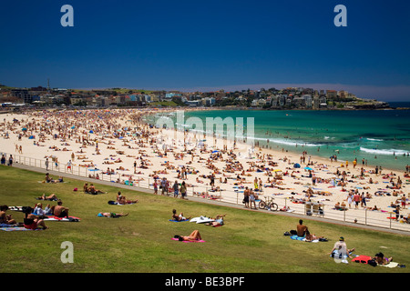 Des foules d'été à Bondi Beach. Sydney, New South Wales, Australia Banque D'Images