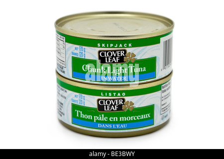 Morceaux en conserve de thon dans l'eau. Banque D'Images