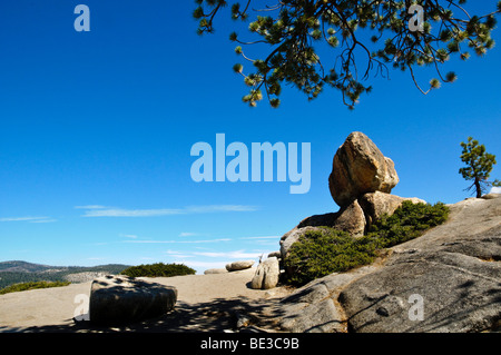 PARC NATIONAL DE YOSEMITE, Californie — le sentier accidenté de Taft point serpente à travers les forêts de pins vers une vue imprenable sur la vallée de Yosemite. Le sentier mène à des vues spectaculaires au bord des falaises, offrant une alternative moins fréquentée aux points de vue populaires et mettant en valeur les impressionnantes formations granitiques et la vaste étendue sauvage du parc. Banque D'Images