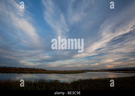 Ciel au-dessus de la Palo Alto, California USA Préserver Baylands Banque D'Images