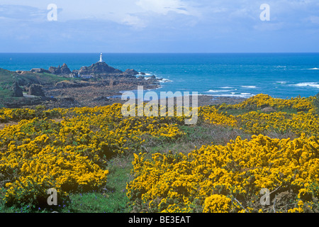 Le phare de Corbière, île de Jersey, Channel Islands Banque D'Images