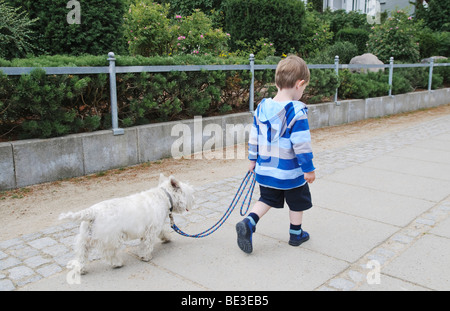 Jeune garçon, 2 ans, promenait son chien, West Highland White Terrier, Westie, Germany, Europe Banque D'Images