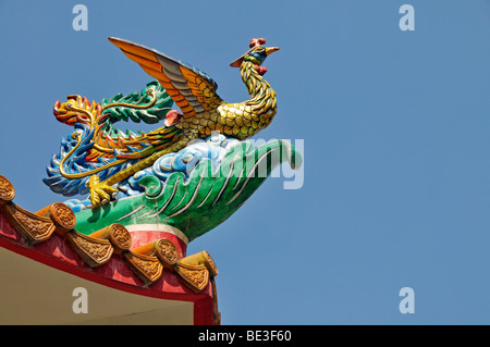 Peacock, symbole de l'amour, la dignité, un rang élevé et la beauté, temple chinois à Bangkok, Thailande, Asie Banque D'Images