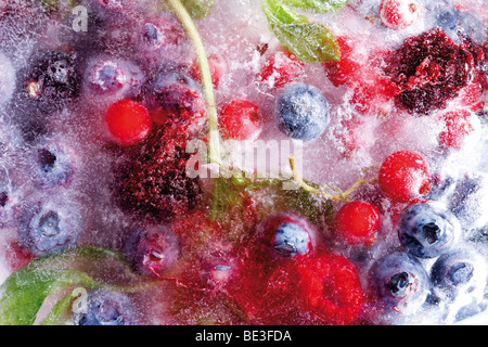 Petits fruits congelés Banque D'Images