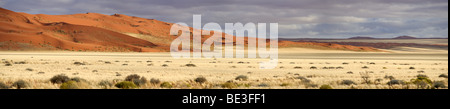 Dunes près de Sesriem dans le Namib-Naukluft National Park, Namibie, Afrique Banque D'Images