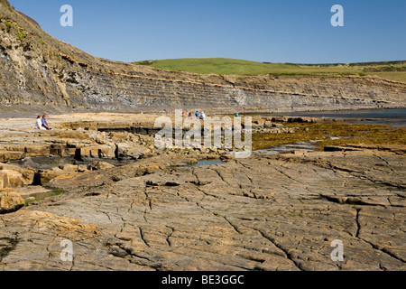 Des formations de roche dolomitique à Kimmeridge Bay sur l'île de Purbeck, sur la côte du Dorset de l'Angleterre Banque D'Images