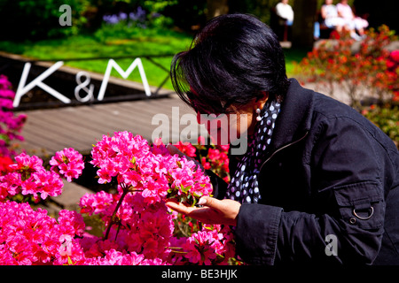 Woman smelling flowers luxuriant dans le Keukenhof, Pays-Bas Banque D'Images