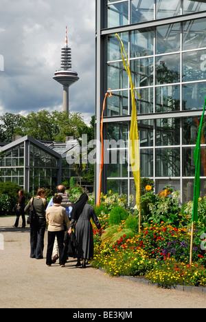 Palm Garden Palmengarten, un jardin botanique dans le quartier ouest, à l'arrière le zower Europaturm, Francfort tour de télévision, Fran Banque D'Images