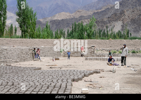 Briqueterie qui fabrique des briques en terre séchée à l'air dans la vallée de l'Indus, Traktok, Ladakh, Inde, Himalaya, Asie Banque D'Images