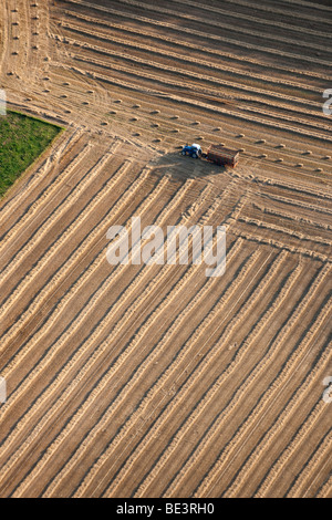 Vue aérienne : tracteur travaillant dans des domaines Banque D'Images