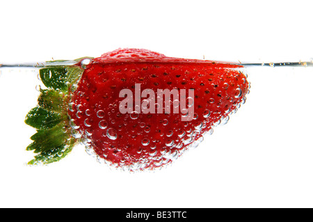 Dans l'eau pétillante aux fraises isolé sur fond blanc Banque D'Images