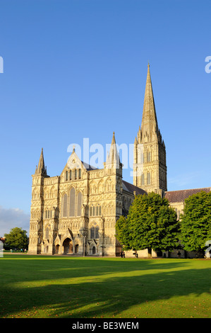 Cathédrale St Mary, à Salisbury, Wiltshire, Angleterre, Royaume-Uni, Europe Banque D'Images