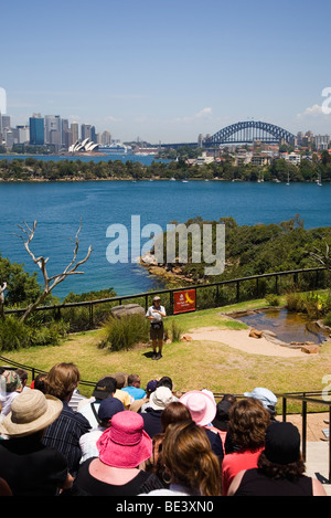Le Zoo Taronga freeflight bird show avec le port de Sydney dans l'arrière-plan. Sydney, New South Wales, Australia Banque D'Images