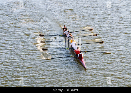 Sculling sur River à Boston, Massachusetts dans un shell homme 8 Banque D'Images