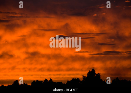 Nuages lenticulaires en photo contre un rouge profond et fiery Orange sunset regarder presque comme les visiteurs extraterrestres dans le ciel Banque D'Images