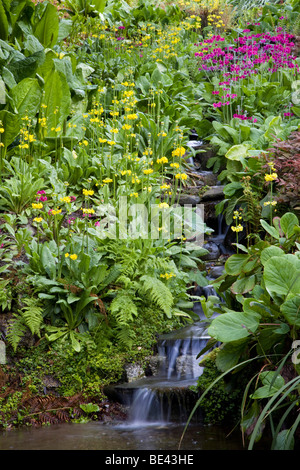 Trebah gardens ; Cornwall ; en été Banque D'Images