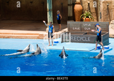 Un spectacle de dauphins à uShaka Marine World de Durban en Afrique du Sud. Banque D'Images