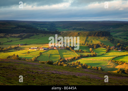 Lumière du soir sur Rosedale dans le North York Moors National Park, Angleterre Banque D'Images