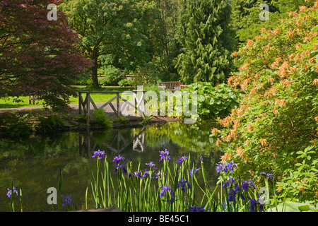 Étang, Benmore Botanic Garden, plus jeunes Argyl et Bute. Juin, 2009 Banque D'Images