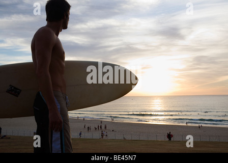 Man carrying surf à la recherche de la plage au lever du soleil. Bondi Beach, Sydney, New South Wales, Australia Banque D'Images