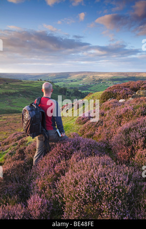 Un marcheur à l'extérieur, vers Rosedale en le North York Moors National Park le soir, North Yorkshire, England, UK Banque D'Images