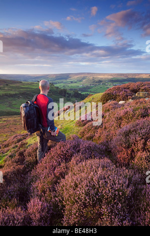 Un marcheur à l'extérieur, vers Rosedale en le North York Moors National Park le soir, North Yorkshire, England, UK Banque D'Images