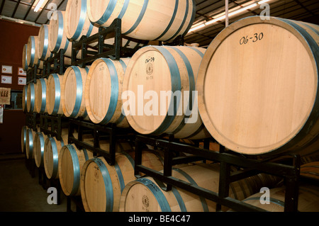 Fûts de vin à Sonoita vignobles, un domaine viticole situé à Elgin, Arizona, USA. Banque D'Images