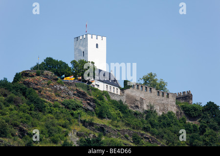 Sterrenberg château sur le Rhin, Vallée du Haut-Rhin moyen, Rhénanie-Palatinat, Allemagne, Europe Banque D'Images