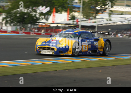 24 Heures du Mans 2009 - Spyker C8 Laviolette N°85 Banque D'Images