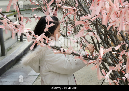 Japanese girl noeuds prières et voeux aux arbustes dans le Sanctuaire Heian Shinto, Kyoto, Japon, Asie Banque D'Images