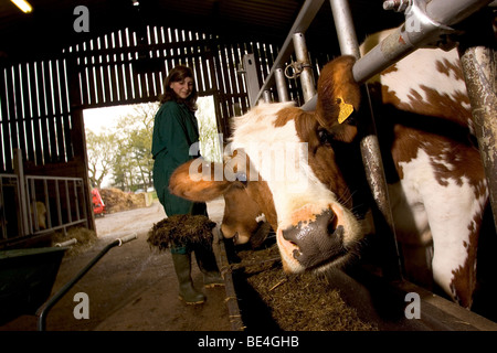 Les élèves à l'Oathall Community College à Irvine dans West Sussex UK bénéficient d'une ferme sur le terrain de l'école Banque D'Images