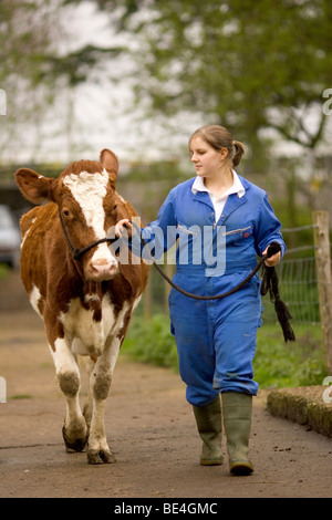 Les élèves à l'Oathall Community College à Irvine dans West Sussex UK bénéficient d'une ferme sur le terrain de l'école Banque D'Images