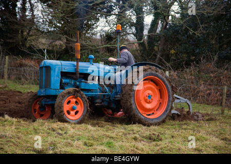 Tracteur Fordson Major ; labourer ; Cornwall Banque D'Images