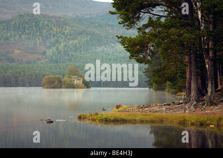Tôt le matin, vue sur Loch an Eilein dans les Cairngorms écossais Banque D'Images