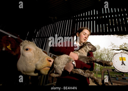 Les élèves à l'Oathall Community College à Irvine dans West Sussex UK bénéficient d'une ferme sur le terrain de l'école Banque D'Images