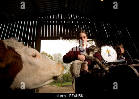 Les élèves à l'Oathall Community College à Irvine dans West Sussex UK bénéficient d'une ferme sur le terrain de l'école Banque D'Images