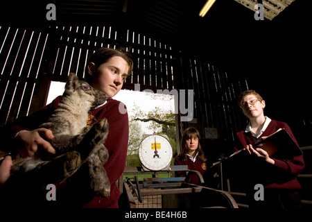 Les élèves à l'Oathall Community College à Irvine dans West Sussex UK bénéficient d'une ferme sur le terrain de l'école Banque D'Images