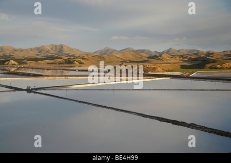 Les étangs d'évaporation (pour le sel), le lac Grassmere, Marlborough, île du Sud, Nouvelle-Zélande Banque D'Images