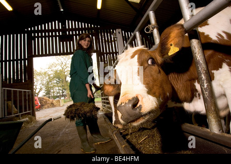 Les élèves à l'Oathall Community College à Irvine dans West Sussex UK bénéficient d'une ferme sur le terrain de l'école Banque D'Images