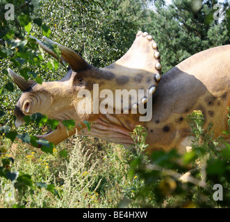 Parc préhistorique Nowiny), Pologne , Triceratops, réplique taille réelle, 2009 Banque D'Images