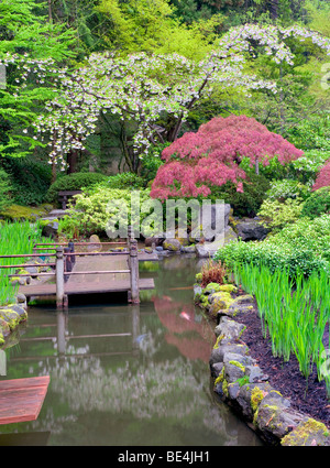 L'étang de koi et de cerisiers. Jardins Japonais, Portland Oregon Banque D'Images