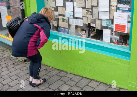 Femme lisant des avis dans une vitrine Banque D'Images