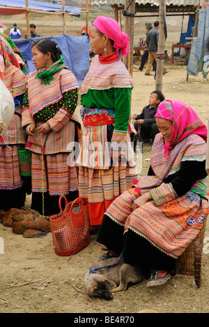 Les femmes de la minorité Hmong fleurs de montagne, la tribu, l'un d'eux de vendre un chien, animal marché de Bac Ha, Ha Giang province, Nort Banque D'Images