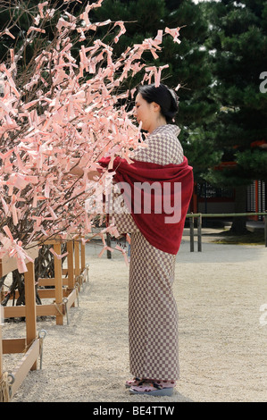 Femme portant un kimono japonais noeuds prières et voeux aux arbustes dans le Sanctuaire Heian Shinto, Kyoto, Japon, Asie Banque D'Images