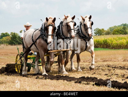 Des démonstrations agricoles au cours de l'Homestead jour Harvest Festival à l'Espace Nature de Beaver Creek dans le Dakota du Sud. Banque D'Images