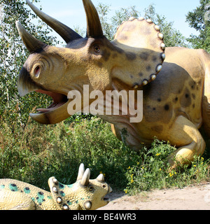 Triceratops, parc préhistorique, Nowiny), Pologne, 2009, réplique taille réelle Banque D'Images